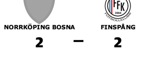 Finspång kryssade mot Norrköping Bosna