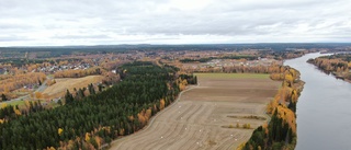 Sävast växer så det knakar • Planen: 300 nya bostäder • "Vi behöver bostäder när stålfabriken är i drift"