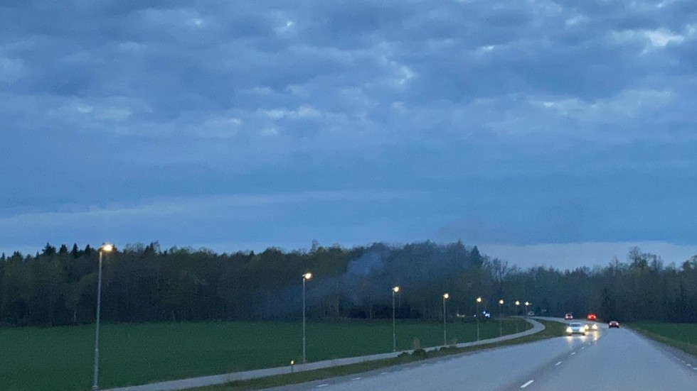 En brand bröt ut i skogen nära Nya Ledbergsvägen på måndagskvällen.