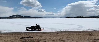 Läsarbilden: Sommar möter vinter