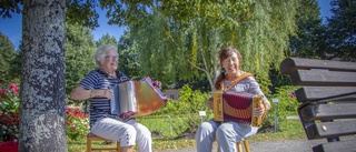 Goda vännerna bjuder på musik på torget: "Vi spelar för alla som vill höra"