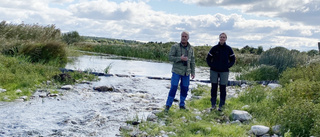 Skyddsvallen som ska rädda Vendelsjön för framtiden