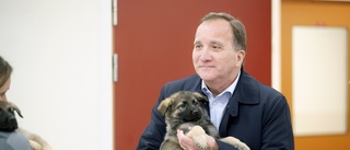 Stefan Löfven har varit en modern landsfader, som tagit S från kris till framgång