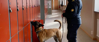 Polisen sökte med hund efter droger på skolorna