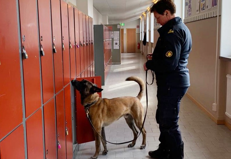 Polishunden Disco med matte Mimmi undersöker om det finns droger på skolorna i Söderköping och Valdemarsvik.