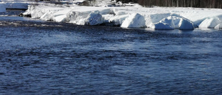 Läsarbilden: Storforsen!      