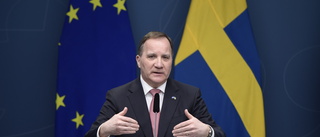 Löfven varnar för Liberalernas beslut