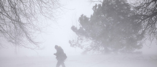 Väder: SMHI varnar för hårda vindar och snö i fjällen