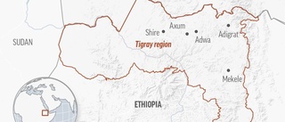 Eritreanska soldater sköt civila etiopier