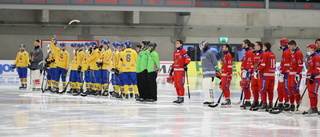 Undantag av Wada – Ryssland värd för bandy-VM