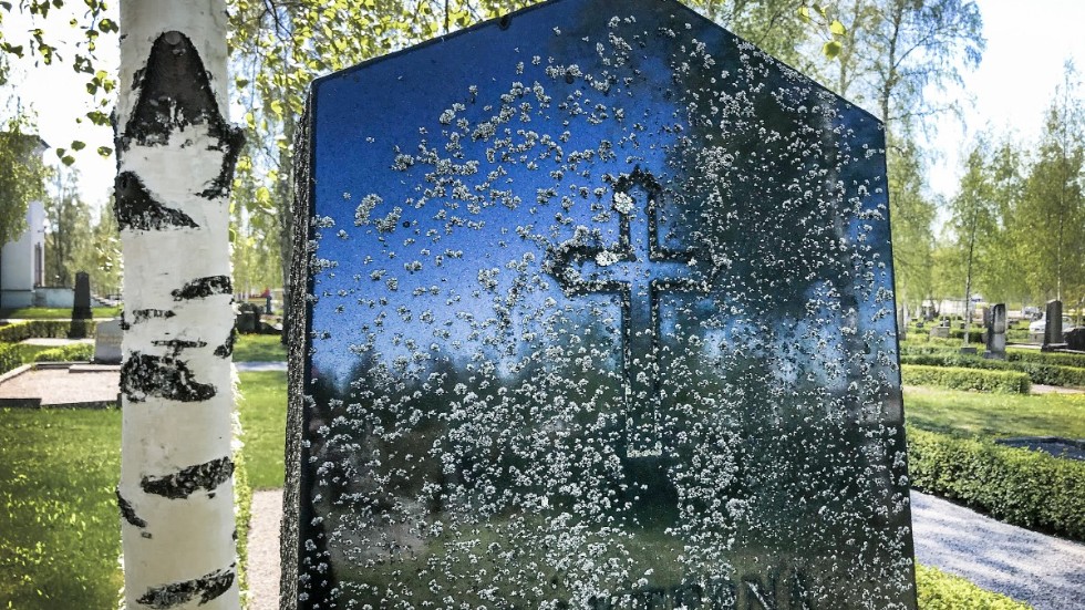 Estlandssvenskarnas kulturförening har inventerat öns kyrkogårdar. Nu ska de ta fram en broschyr som berättar historien om estlandssvenskar som kom till Gotland runt andra världskriget. (Bilden har inget med texten att göra.)