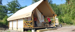 Michael och Pernilla satsar på lyxcamping: "Det är jag som får de galna idéerna" • Inspirerades av Afrikaresa