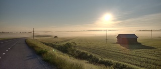 Läsarbilden: Fin morgon i Öjebyn!