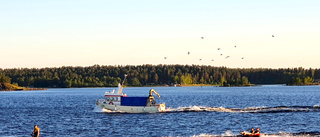 Läsarbild från Luleå skärgård 