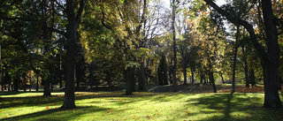 Ensam man överfölls, slogs ner och rånades i parken