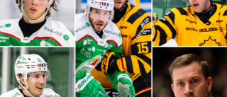 Inför semifinalen: Alla betyg på Rögle och Skellefteå AIK • ”Finns en stor skillnad”