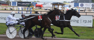 Fina lunchtävlingar på Mantorp: Elitloppsform hos Rioardan