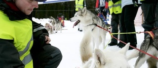 Chippad hund måste även registreras