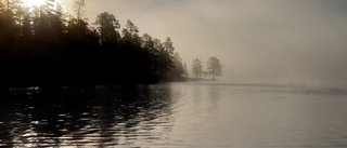 Läsarbilden: Solen hjälper dimman att lätta