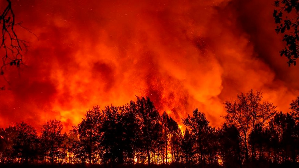 Brand vid byn Saumos i sydvästra Frankrike den 12 september.