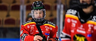 Nu har Luleå Hockey hittat lag att träningsspela mot: "Det kommer hjälpa oss"