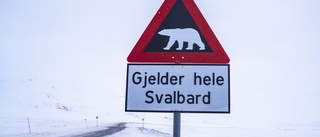 Fransk turist skadad av isbjörn på Svalbard