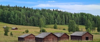 Öppna landskap i Rosfors      