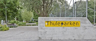 Thuleparksmannen drog tillbaka överklagan