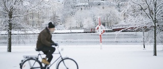 Snöyra kan övergå i solsken