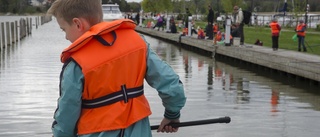 Trångt för båtar under strömmingsfestival