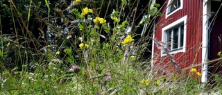 Sommarstugor kostar mest i Katrineholm