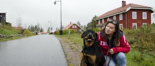 Ännu ingen hundrastgård i sikte i Trosa