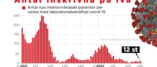 FHM om covidläget: Dödstalen förväntas stiga