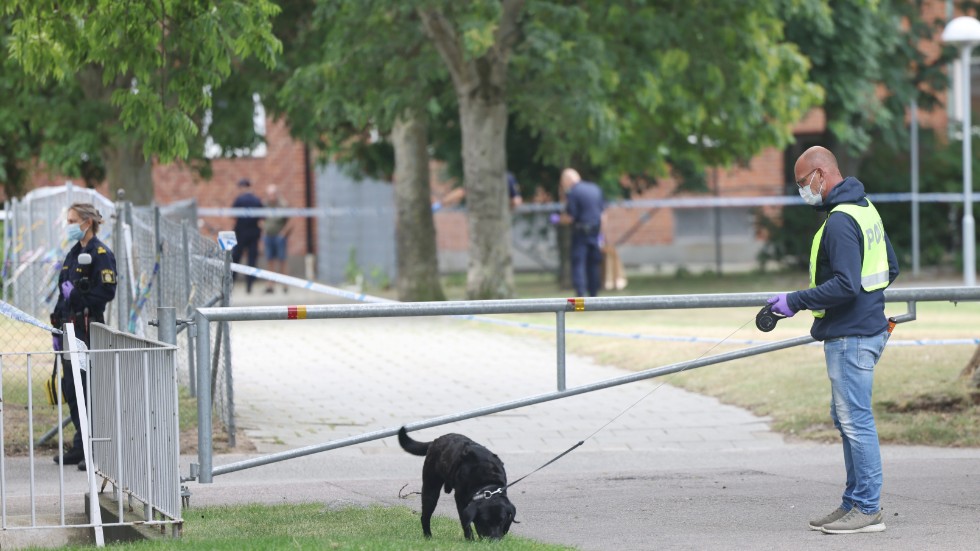 Den 22 juli avled en 19-åring efter en skjutning i Malmö. Nu har en 22-årig man gripits. Arkivbild.