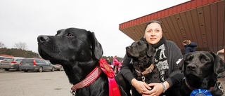 Tusentals hundar ville bli bäst i klassen