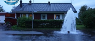 Inget vatten på Tomholmsstigen