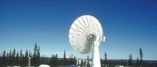 Antennskogen växer på Esrange