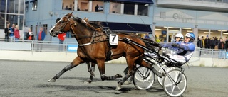 Höwing Star segrade på Bodentravet