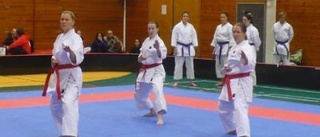 Medaljregn över Inyon och Älvsbyn i karate-DM