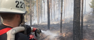 Blixtnedslag orsakade skogsbrand utanför Västervik