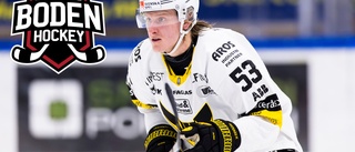 Öppnar för Boden Hockey: "Har något spännande på gång"