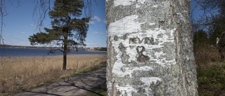 Den största rättsskandalen i mannaminne?