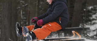 Hårda vindar och chans till snö – då blir det pulkaväder på sportlovet • Meteorologen: "En riktigt härlig vinterdag"