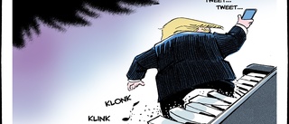 Ständigt denna Donald Trump …