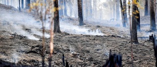 Brand på Håskö under kontroll