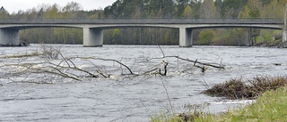 Skogsbolagen nekas utträde ur Byskeälvens fiskevårdsområde 