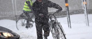 Förslag: Börja salta på cykelvägarna