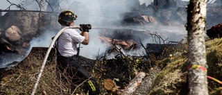 Hög risk för skogsbrand