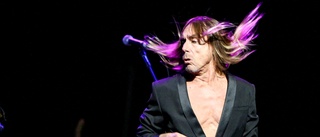 Från avgrundsvrål till Polarpris - Iggy Pop en värdig vinnare