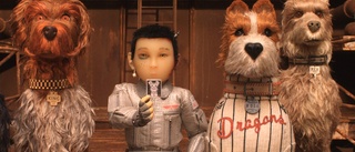 Fylld av fantasi och allvar – så bra är  "Isle of Dogs"